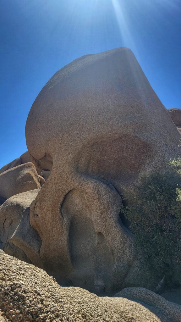 Joshua Tree Projekt Przygoda