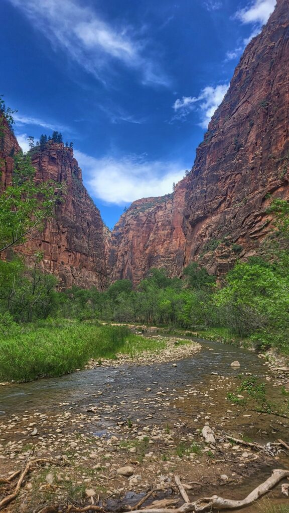 Zion Projekt Przygoda