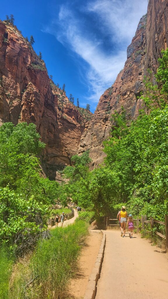 Zion Projekt Przygoda