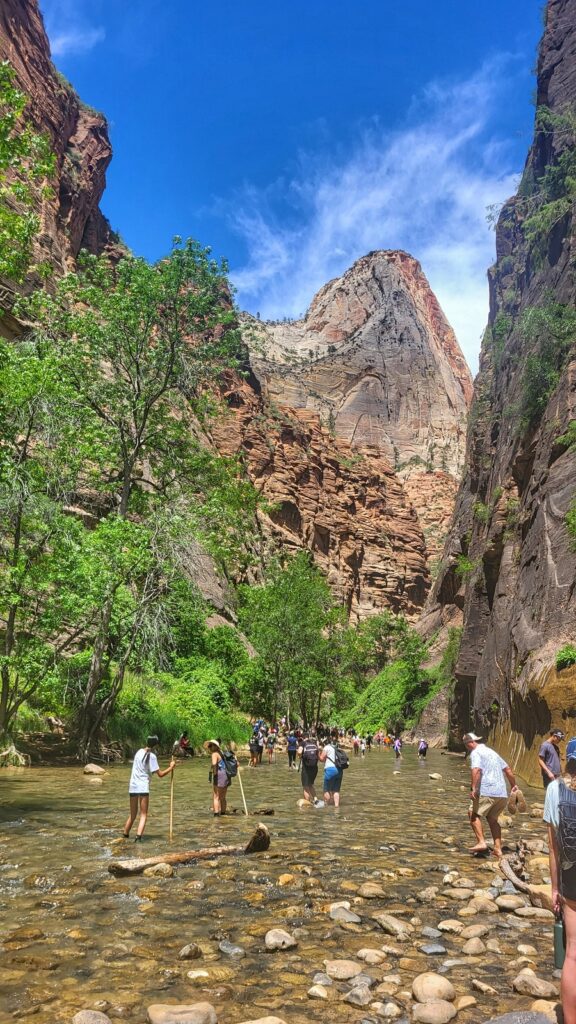 Zion Projekt Przygoda